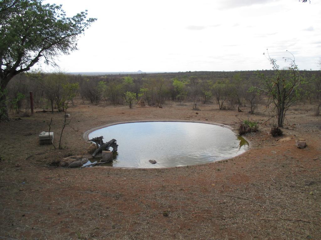 Tingala Lodge - Bed In The Bush Phalaborwa Exterior photo