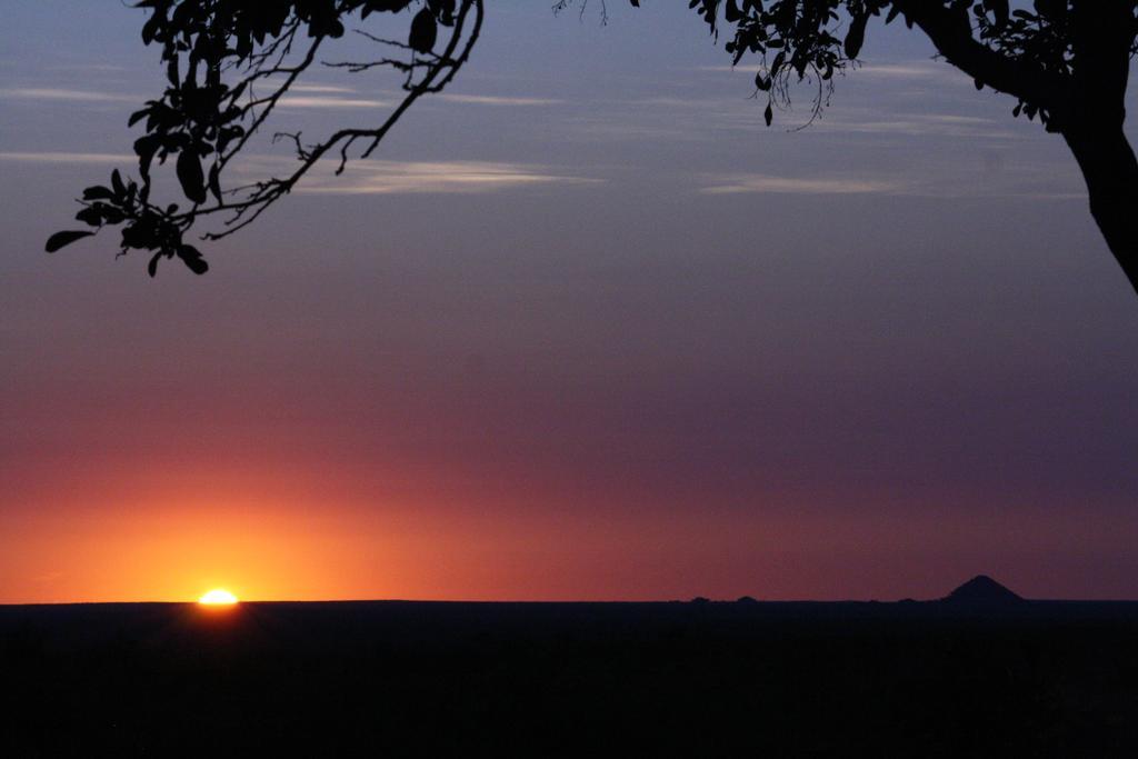 Tingala Lodge - Bed In The Bush Phalaborwa Exterior photo