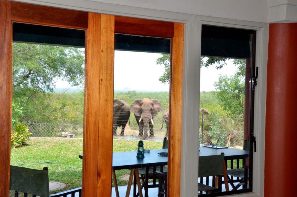 Tingala Lodge - Bed In The Bush Phalaborwa Exterior photo