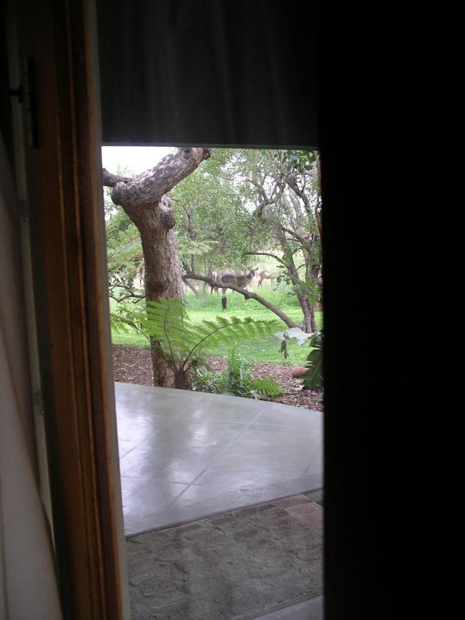 Tingala Lodge - Bed In The Bush Phalaborwa Exterior photo